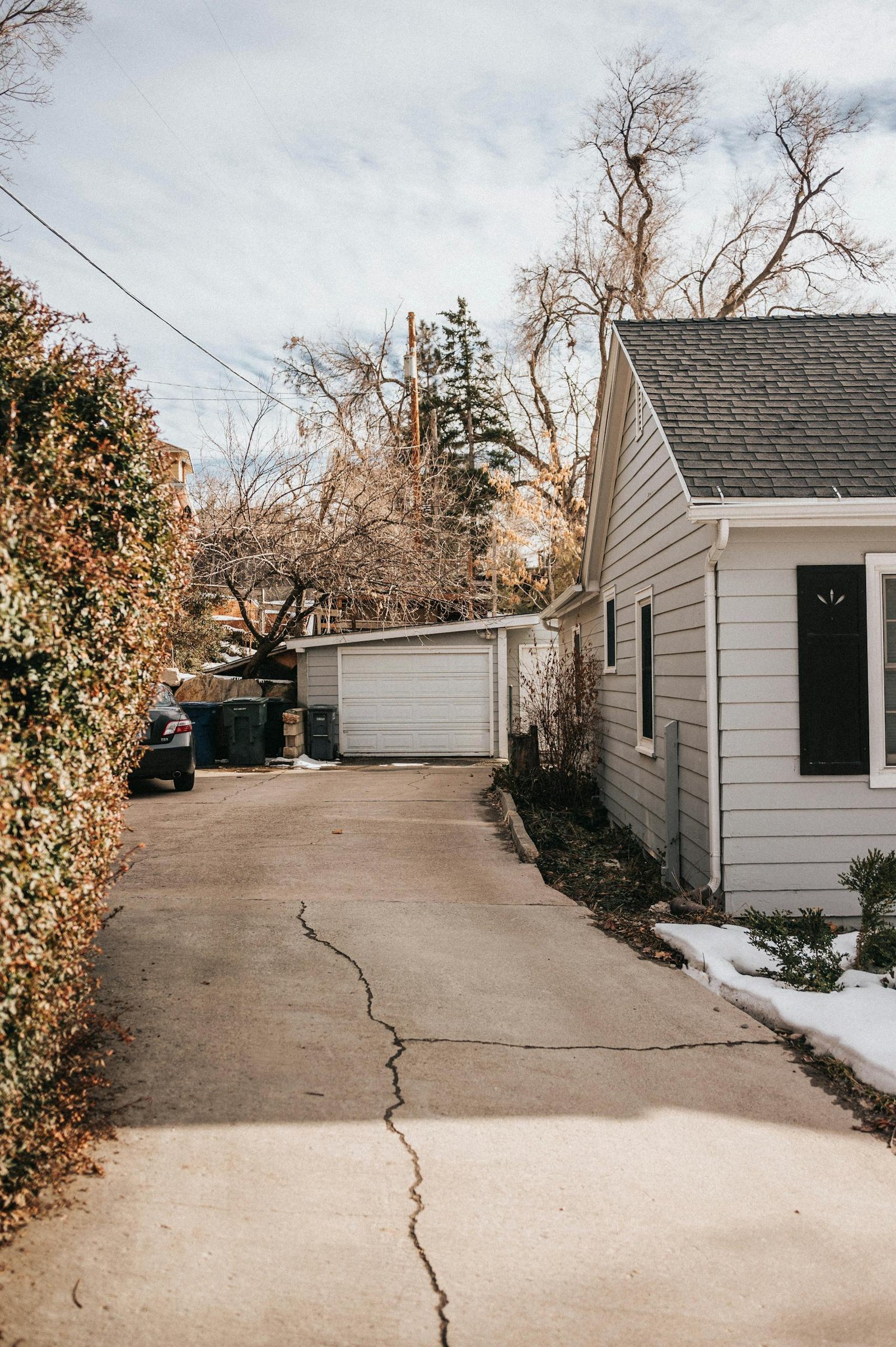 Suburban driveway with bare trees — roll-off dumpster placement for flood and water damage cleanup